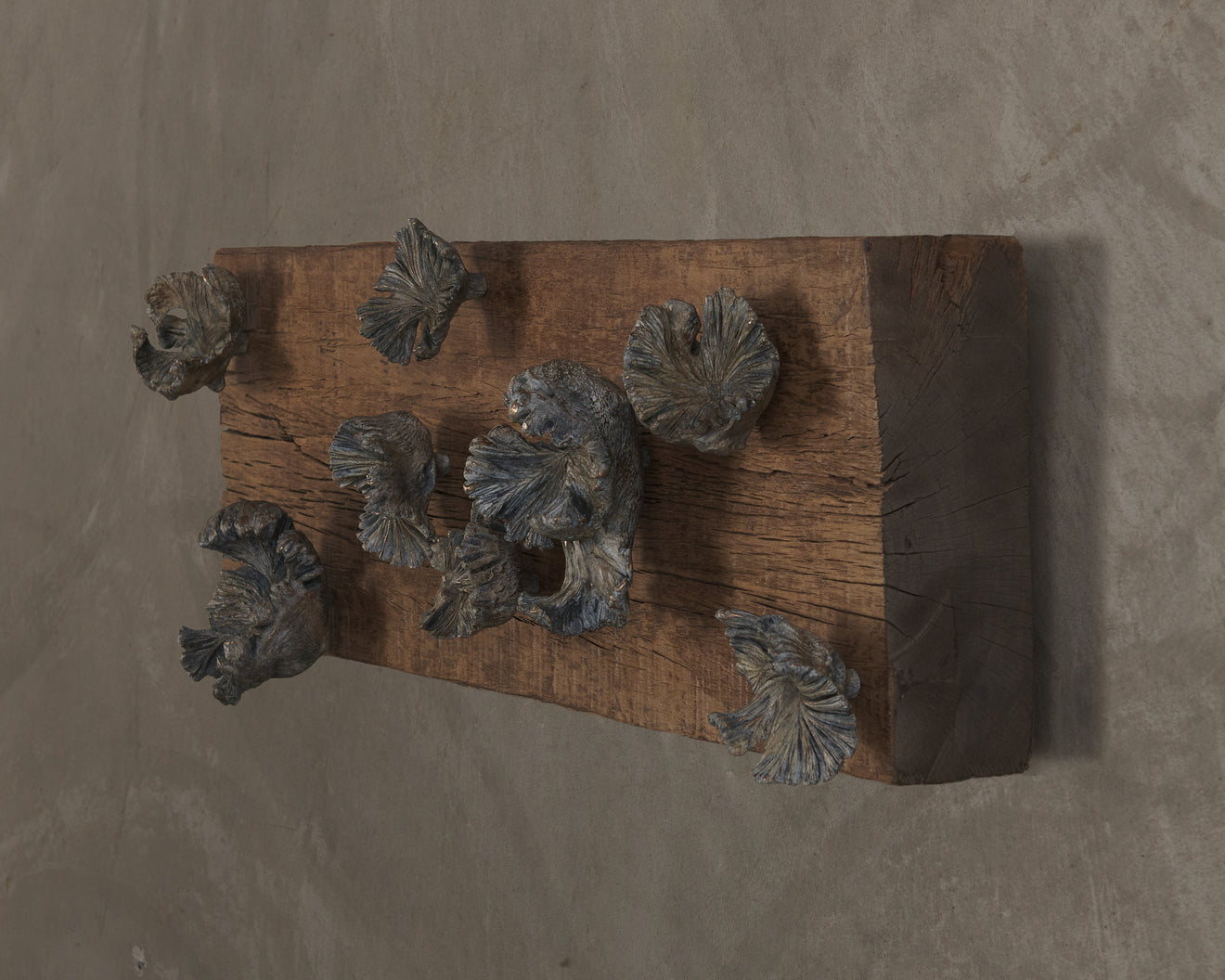 BC WORKSHOP FUNGHI HOOKS ON WEATHERED WOOD