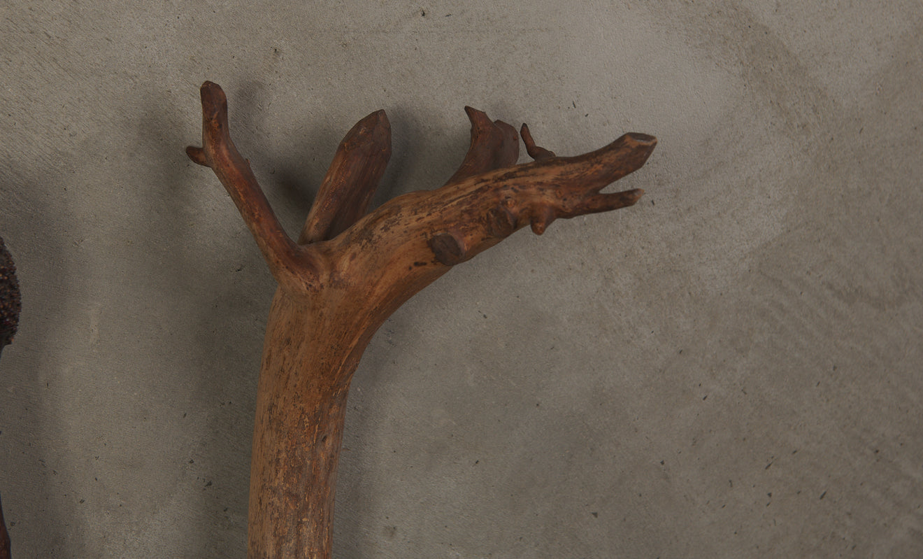BRASS STRAPPED STAND WITH COLLECTION OF GNARLED WOOD WALKING STICKS