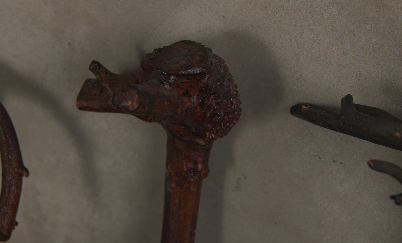 BRASS STRAPPED STAND WITH COLLECTION OF GNARLED WOOD WALKING STICKS