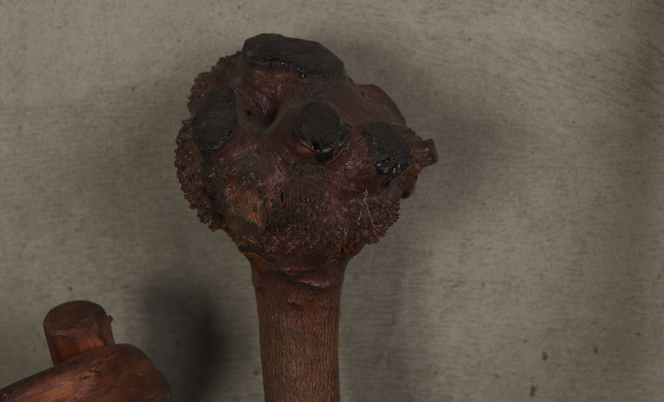 BRASS STRAPPED STAND WITH COLLECTION OF GNARLED WOOD WALKING STICKS