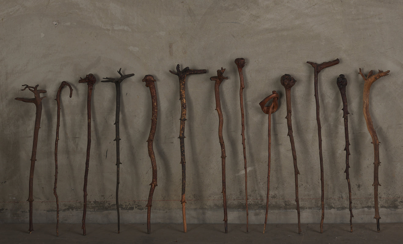 BRASS STRAPPED STAND WITH COLLECTION OF GNARLED WOOD WALKING STICKS