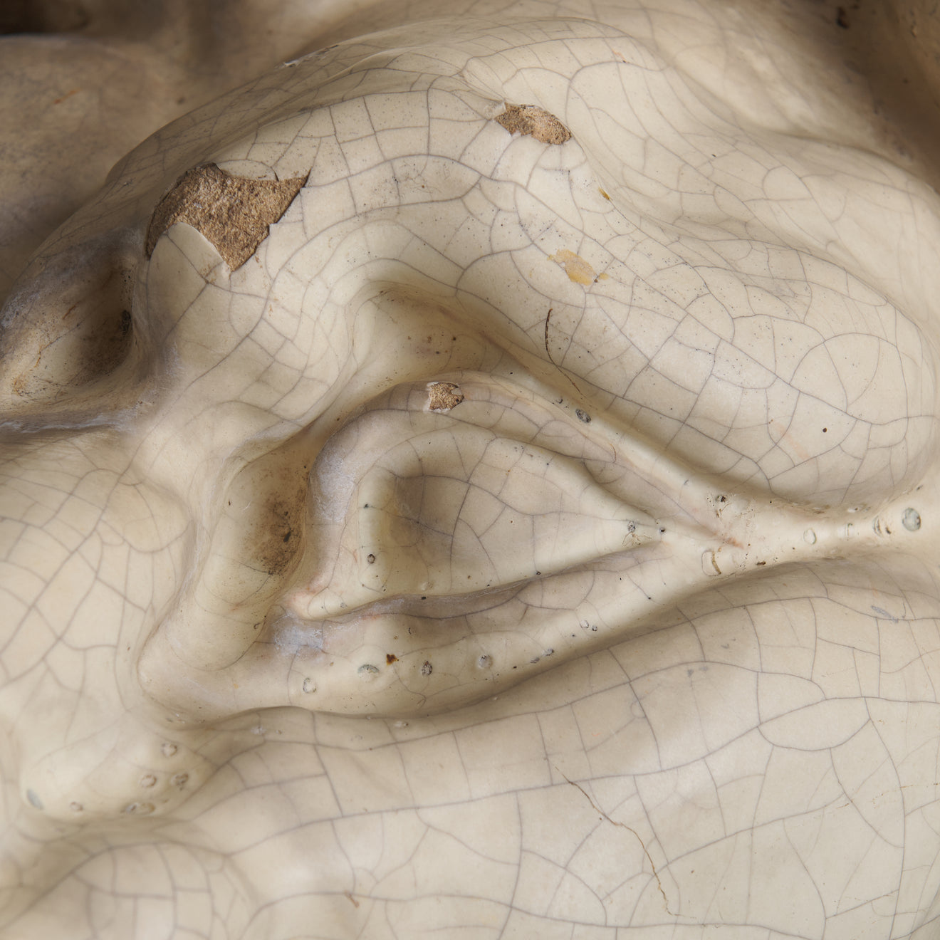 MASSIVE EARTHENWARE LION HEAD FROM THE LEONARD STANLEY ESTATE