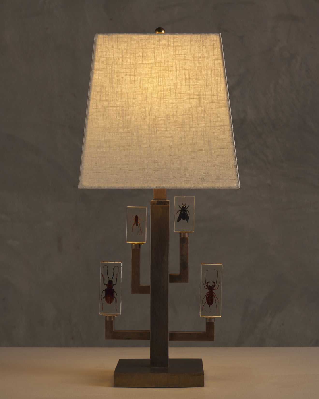 ENTOMOLOGY TABLE LAMP