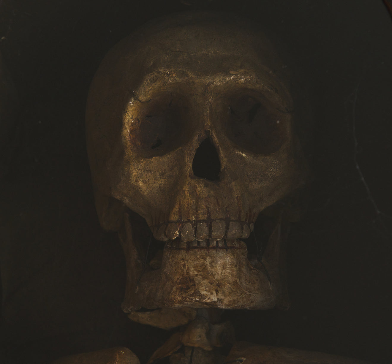 ILLUMINATED ODD FELLOWS SKELETON IN COFFIN