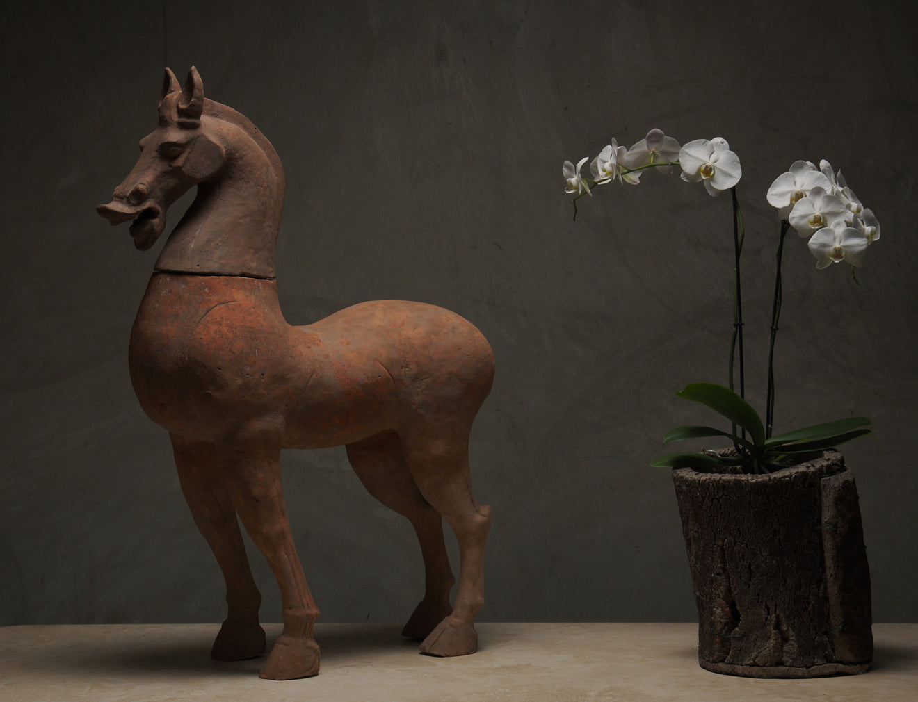 LARGE CHINESE TANG HORSE FIGURE