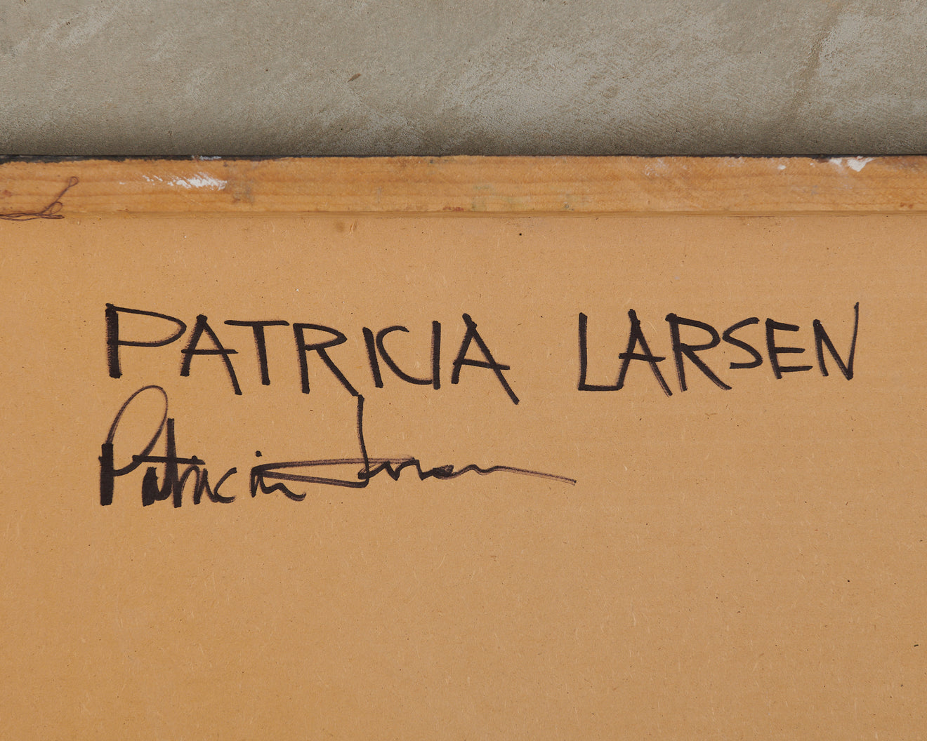 'SHIMMER' BY PATRICIA LARSEN