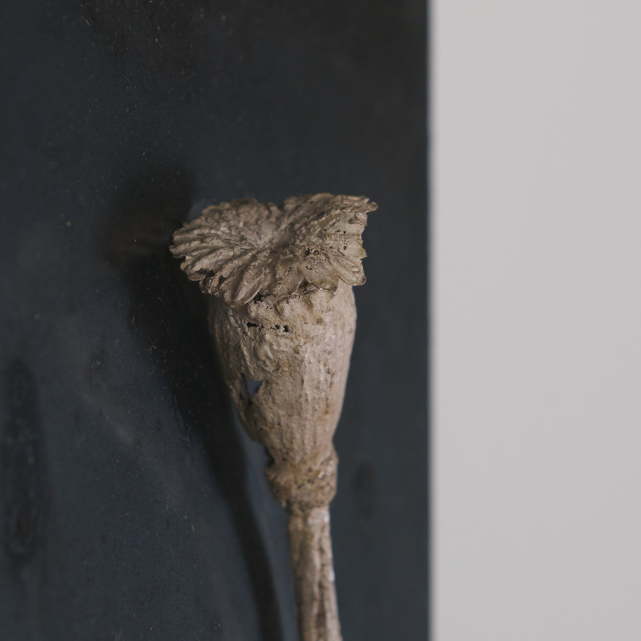WALL PIECE WITH POPPY, AN HOMAGE TO ANSELM KEIFFER BY DIANE TINTOR