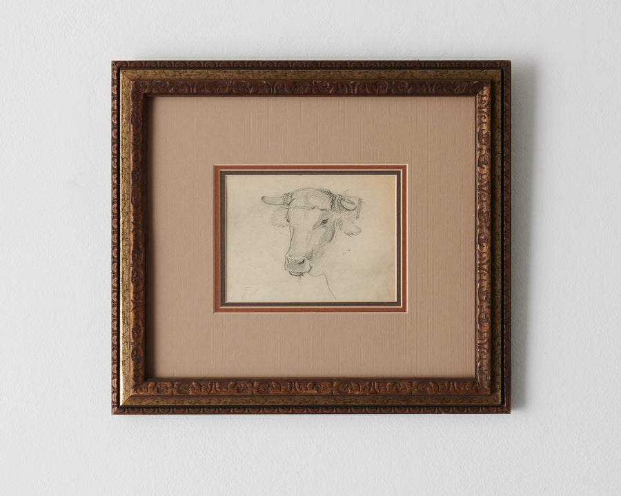 ARTHUR RIDER ( 1886-1975) GRAPHITE OXEN STUDY