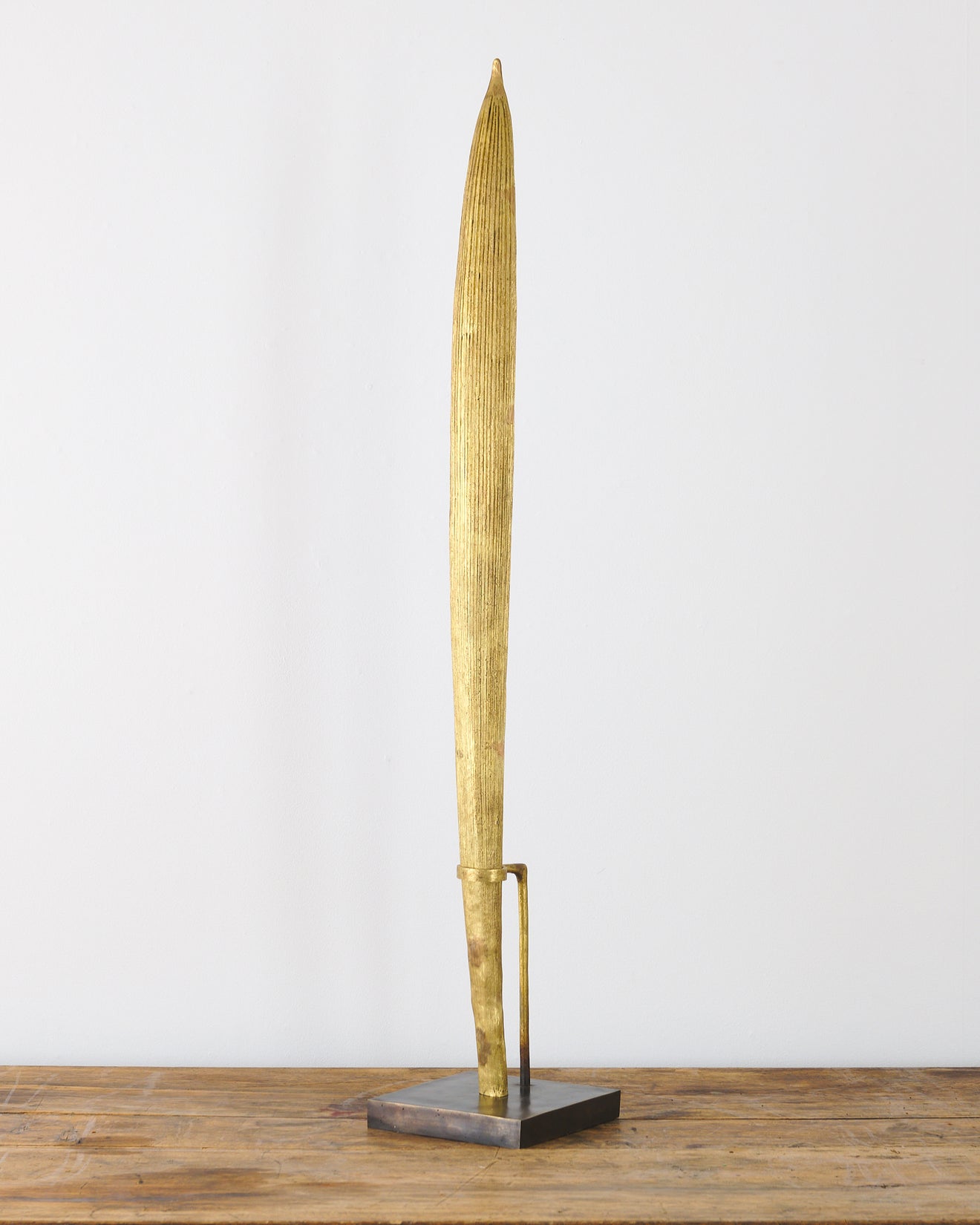 ELEVATION BY CATHERINE CABA