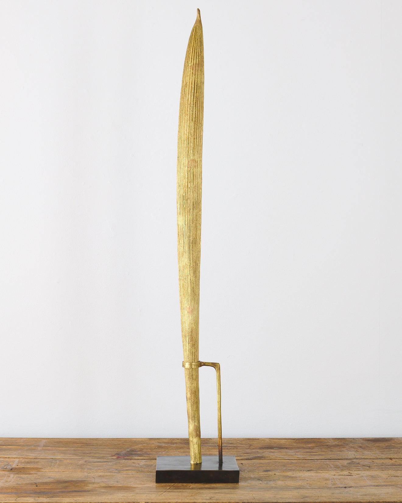 ELEVATION BY CATHERINE CABA