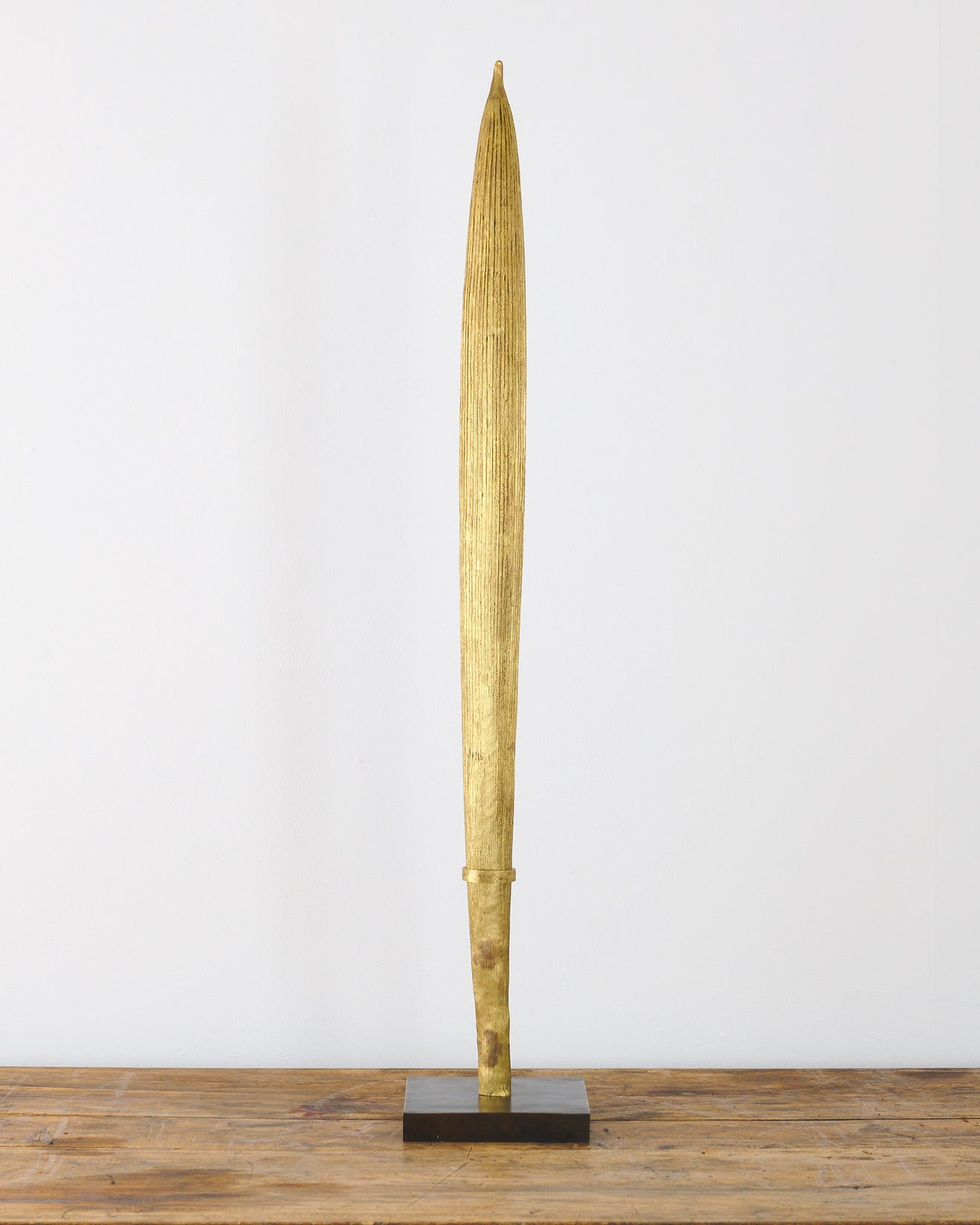 ELEVATION BY CATHERINE CABA