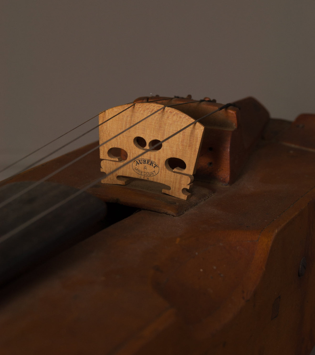 Unique Violin-Like Instrument