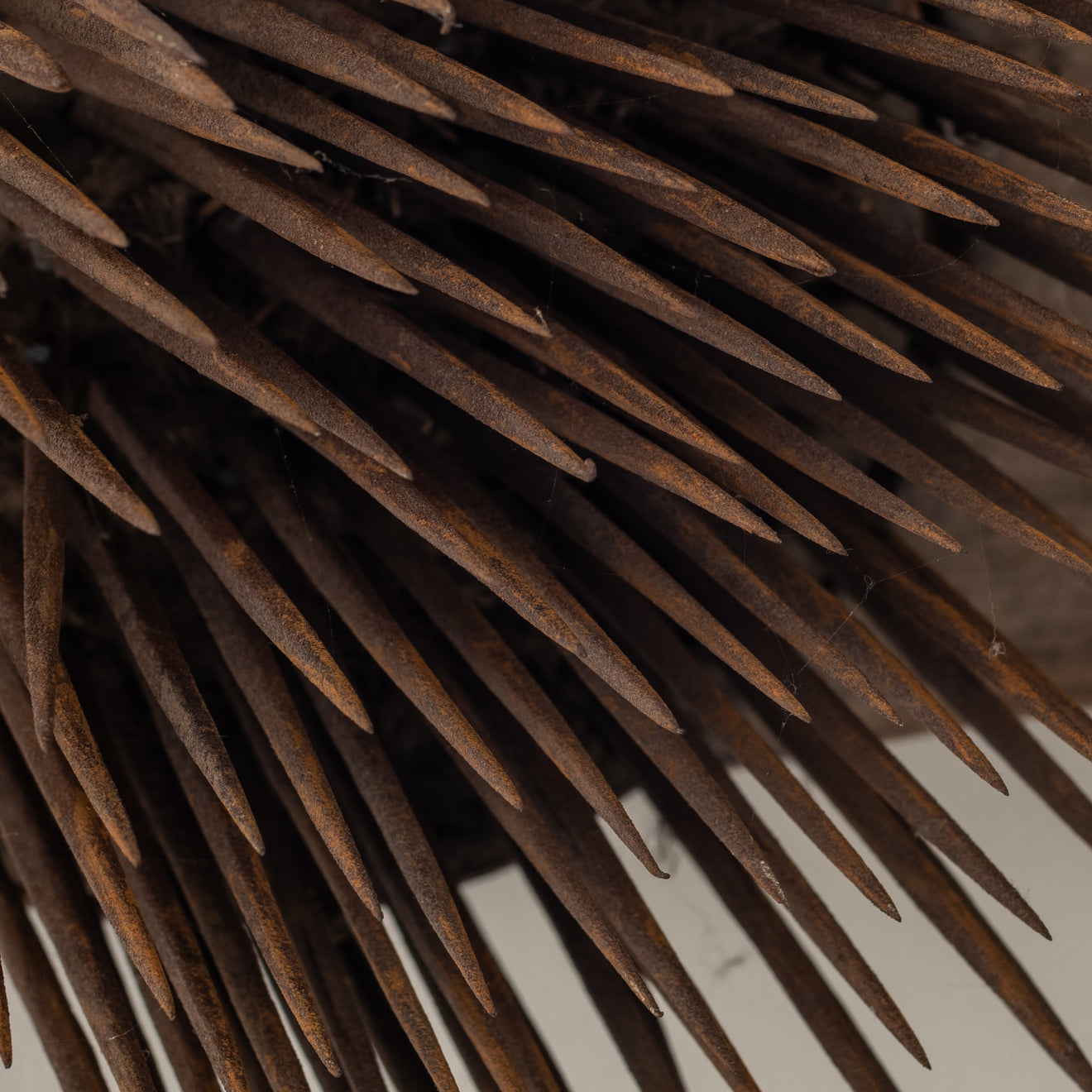 WOOL COMB