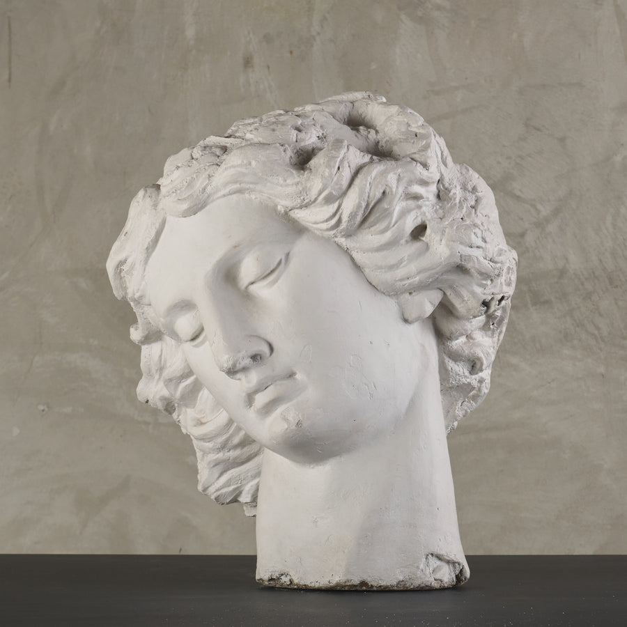 MONUMENTAL  PLASTER HEAD FROM ACADEMIA DE SAN CARLOS, MEXICO CITY, 19th C