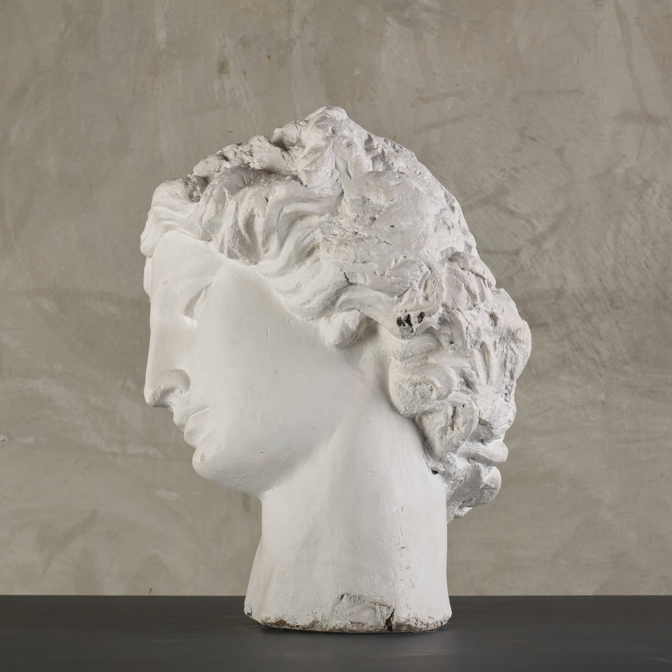 MONUMENTAL  PLASTER HEAD FROM ACADEMIA DE SAN CARLOS, MEXICO CITY, 19th C