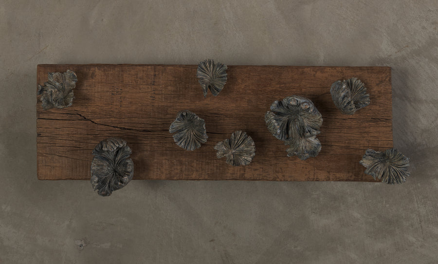 BC WORKSHOP FUNGHI HOOKS ON WEATHERED WOOD