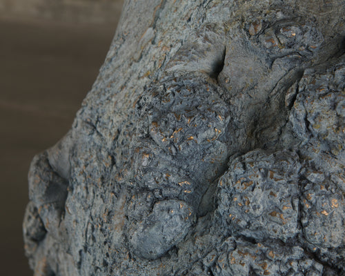 BCW TREE TRUNK TABLE