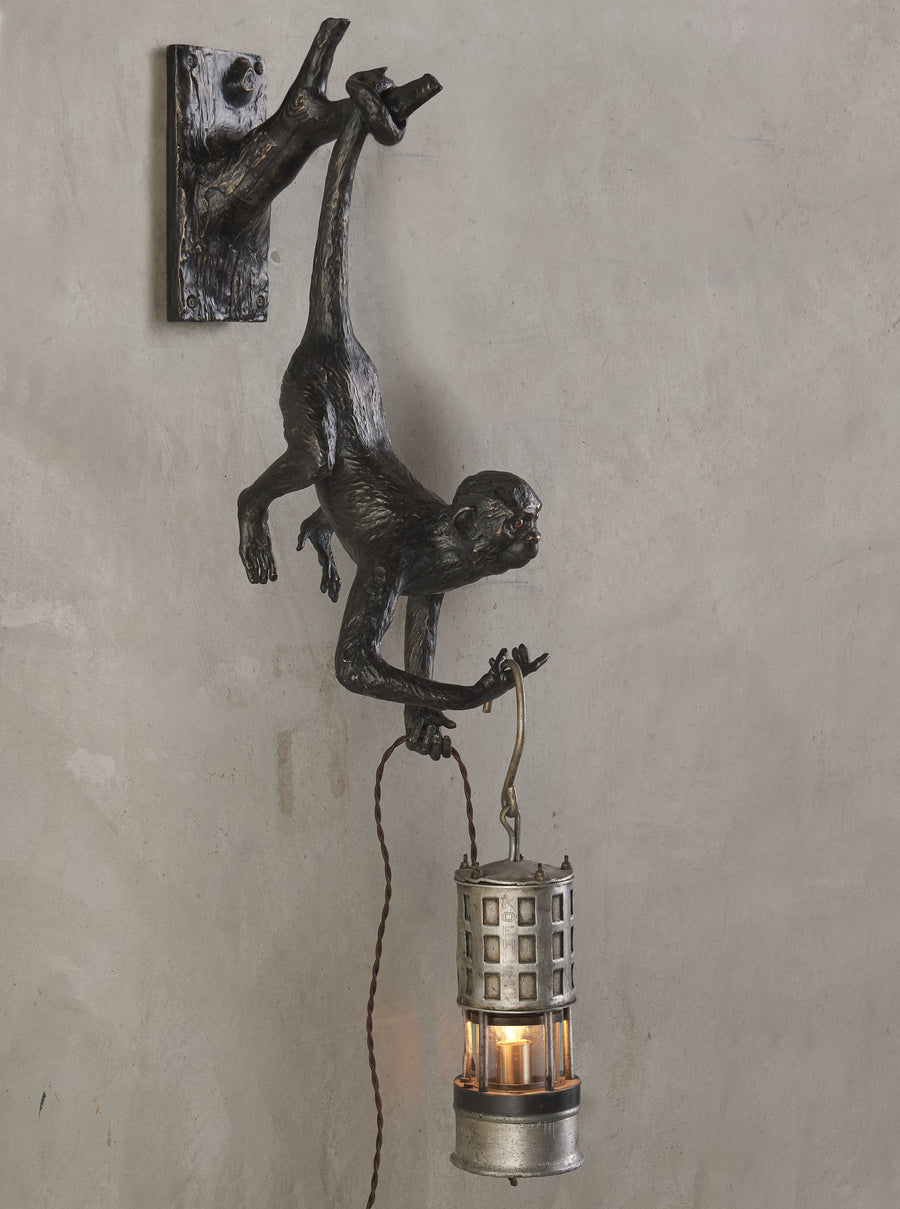 BCW THIEVING MONKEY, LIMITED ED