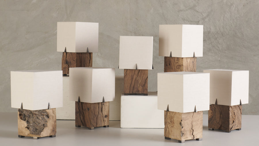 BCW VIGA LAMP(S)