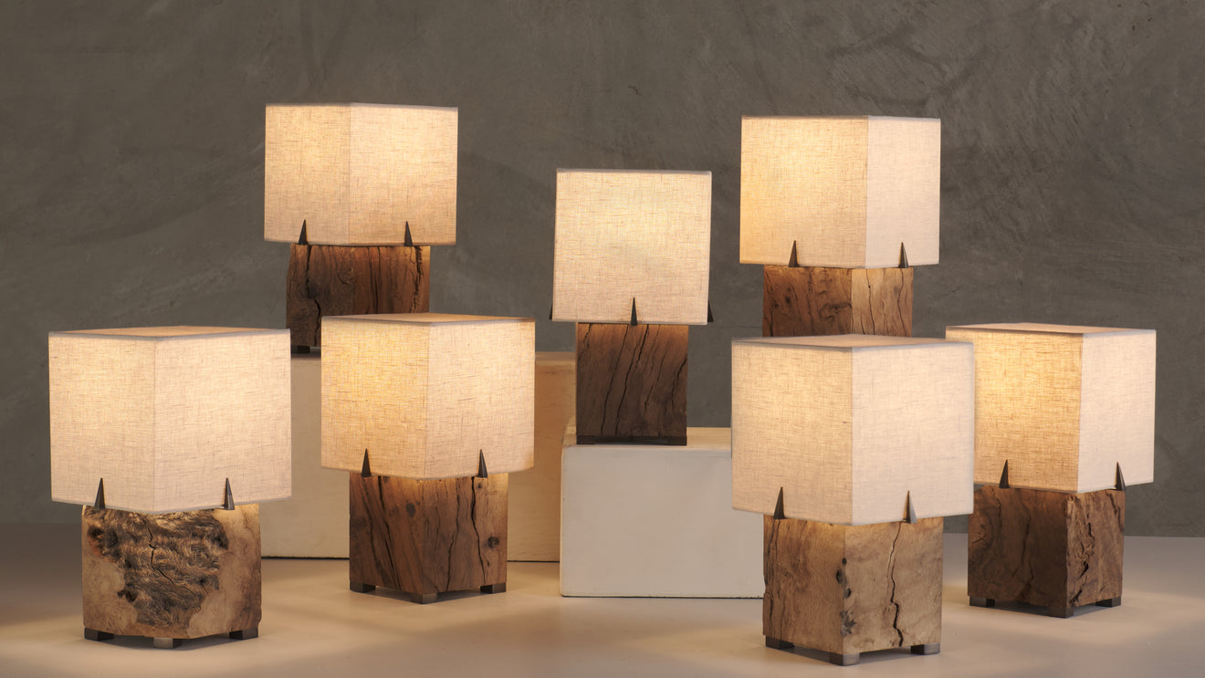 BCW VIGA LAMP(S)