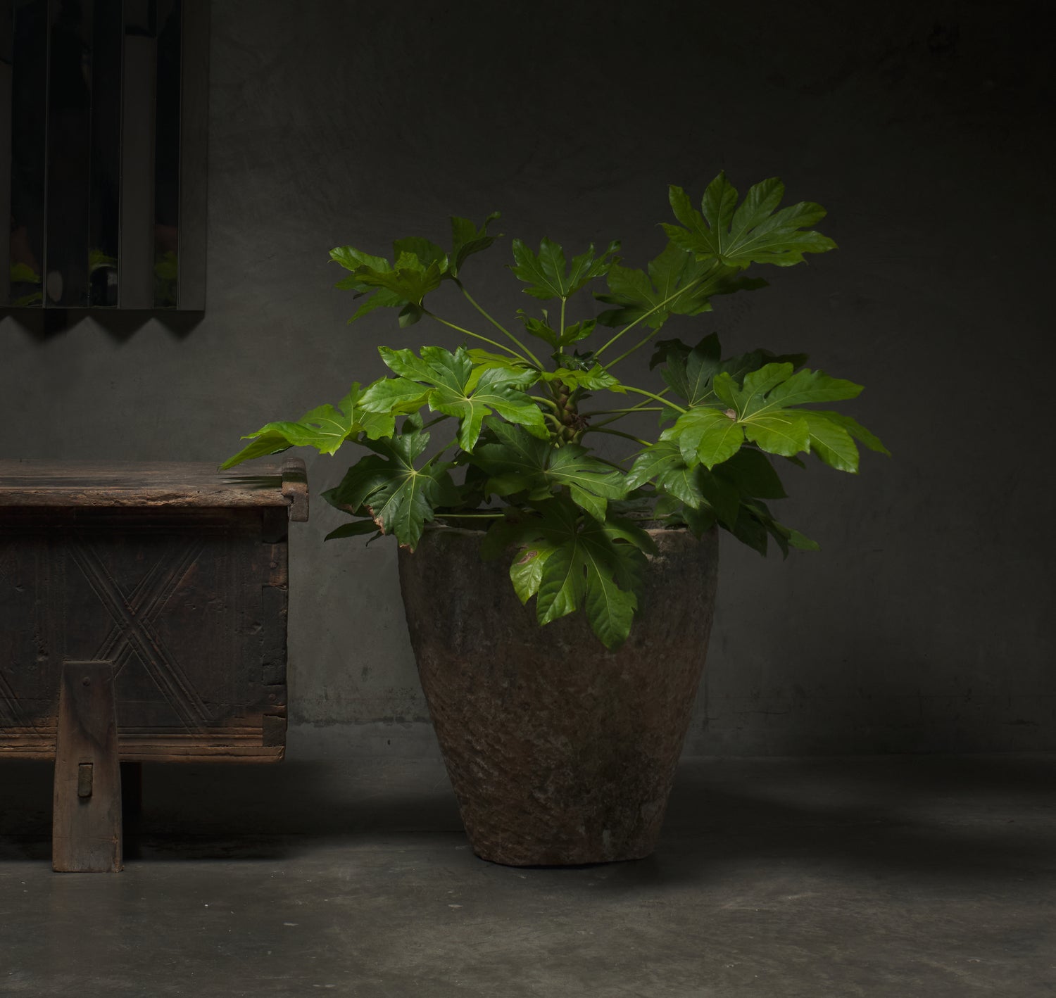 Product Vignette