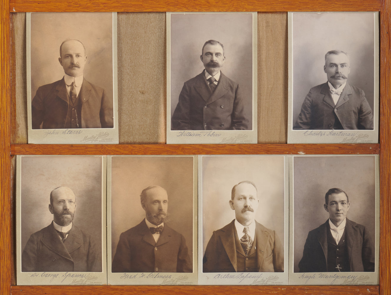 CARTE DE VISITE ALBUM WALL CABINET, c1900