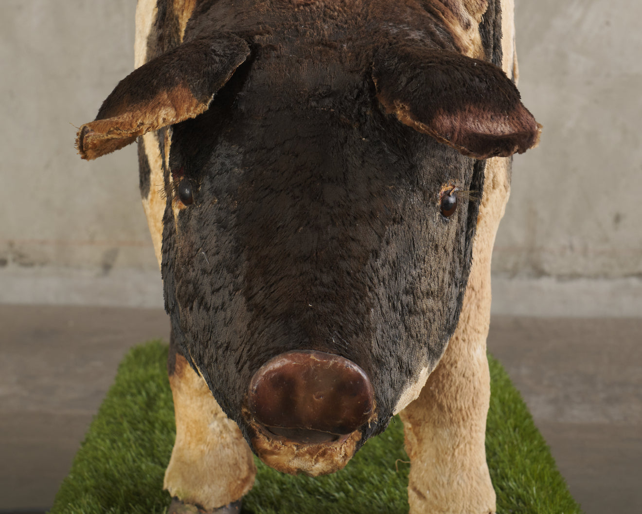 ANTIQUE MECHANICAL HOG CHARACTER DISPLAY CO. PIG , USA 1925