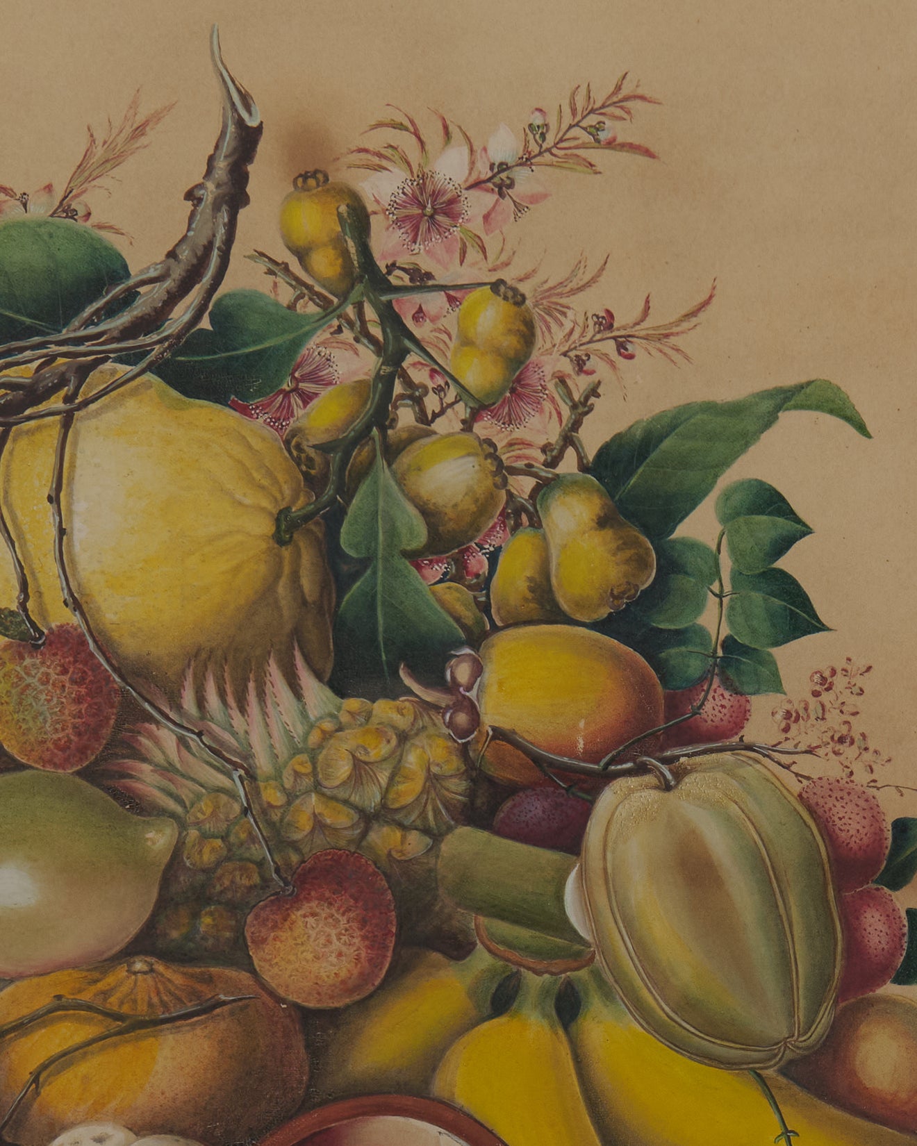 CHINESE 19th C CHINA TRADE GOUACHE PAINTING OF FRUIT