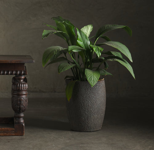 testing item for inventory- fake lamp