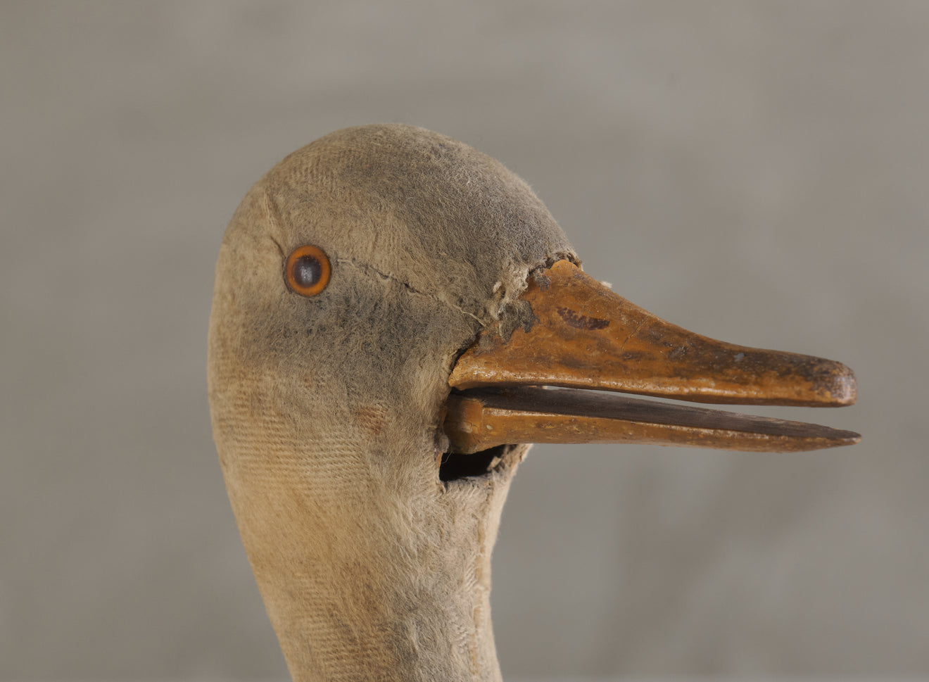 CLOCK WORK DUCK NODDER, GERMANY, C1890