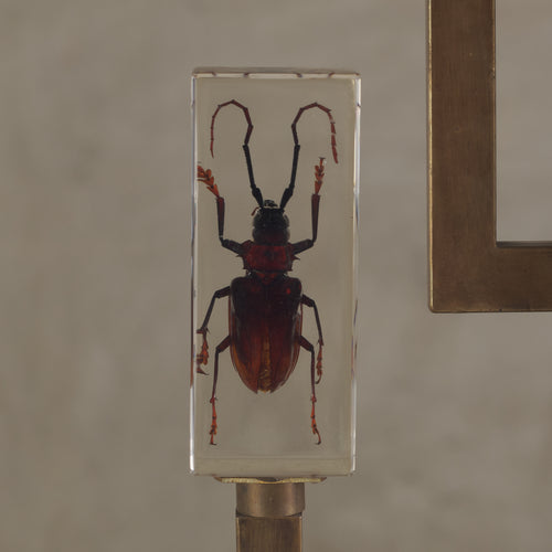 ENTOMOLOGY TABLE LAMP