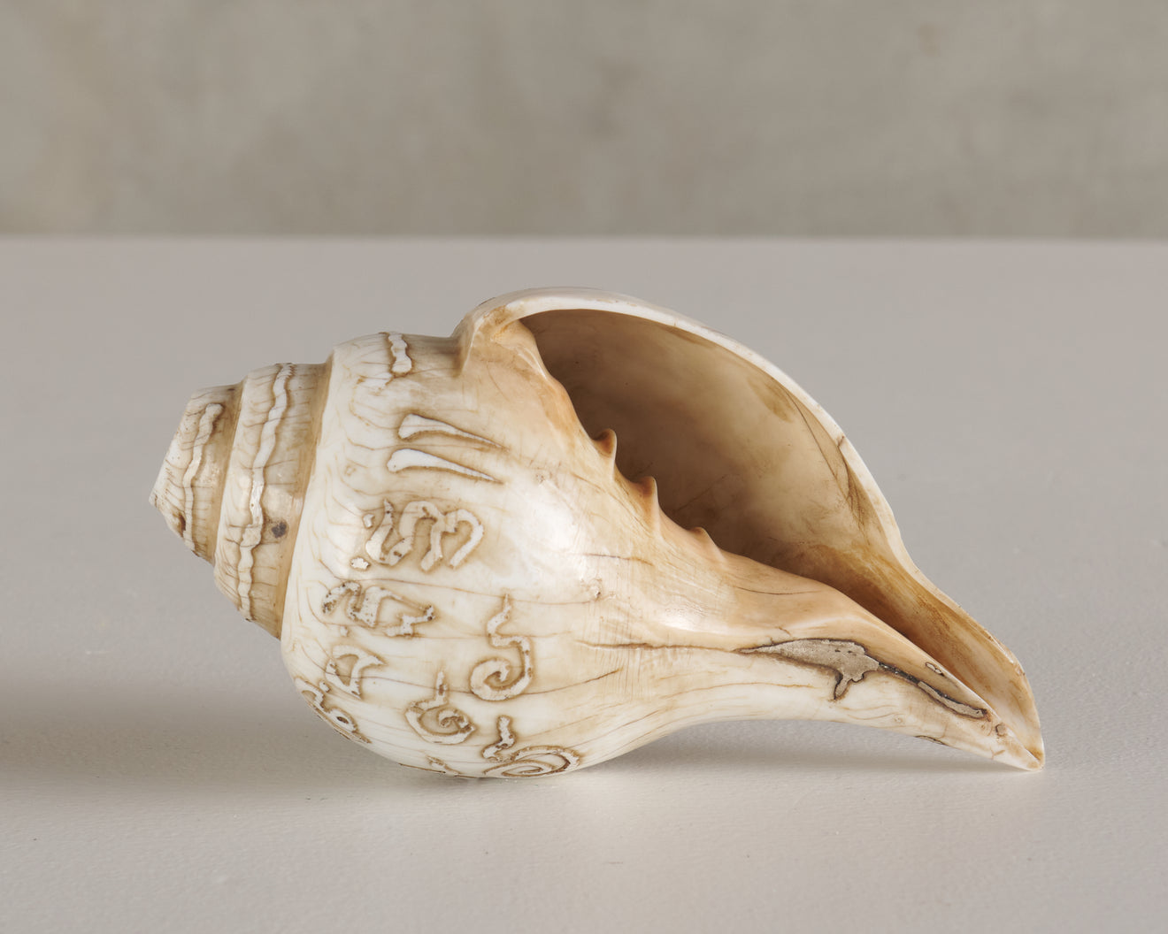 FINELY CARVED TIBETAN BUDDHIST RITUAL CONCH TRUMPET