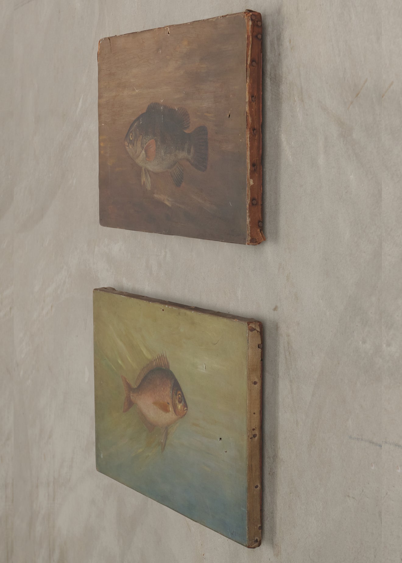 FISH OF NORTH AMERICA, TWO ORIGINAL OIL PAINTINGS SIGNED BY J.L PETRIE, C1891