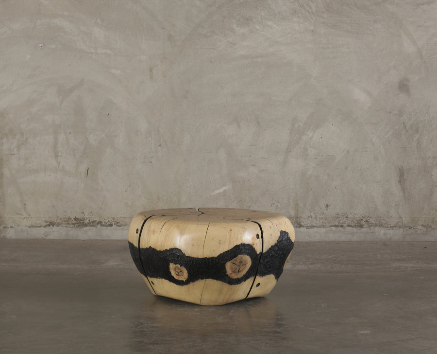 IVORY COTTONWOOD TABLE BY DAN POLLOCK