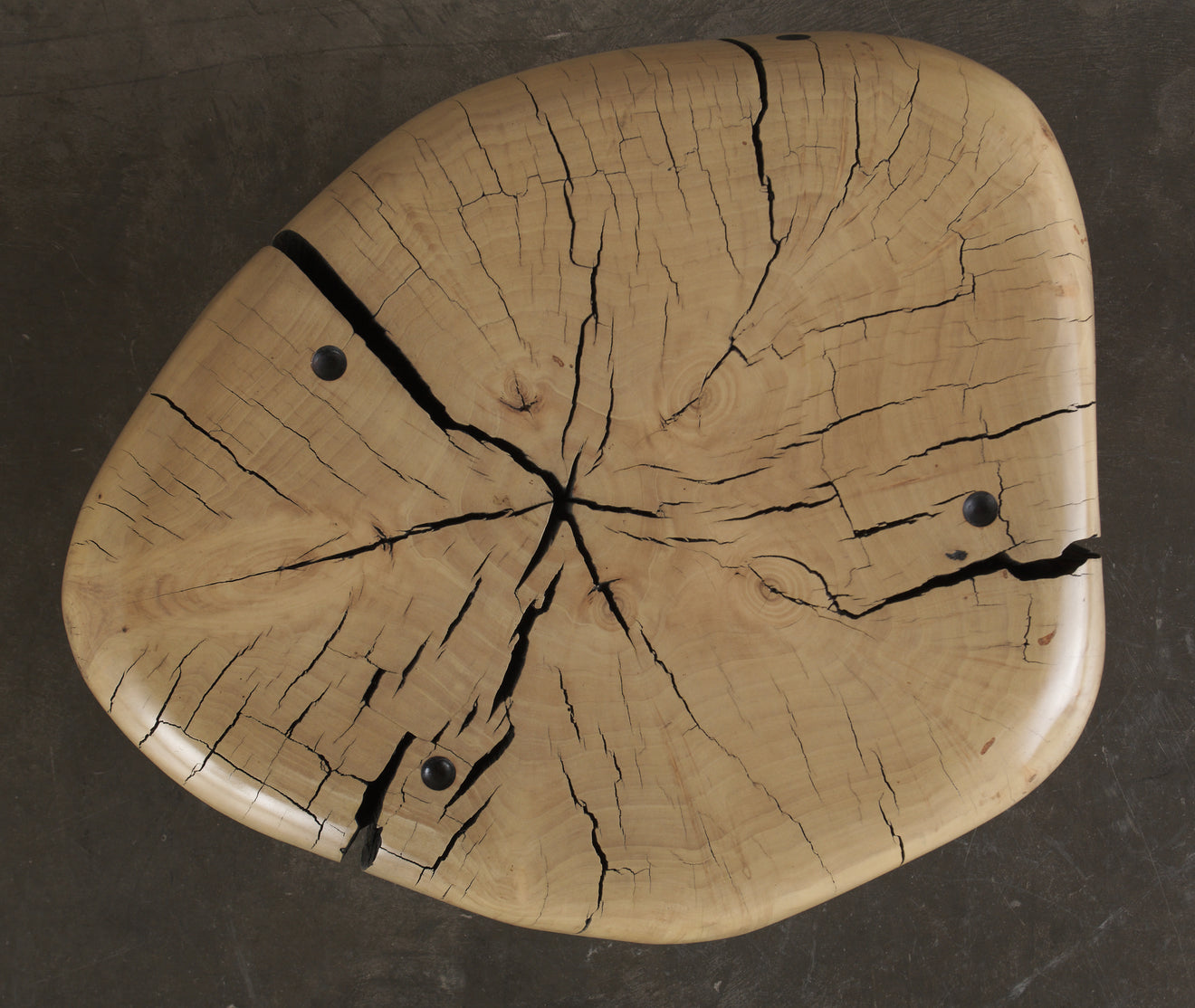 IVORY COTTONWOOD TABLE BY DAN POLLOCK