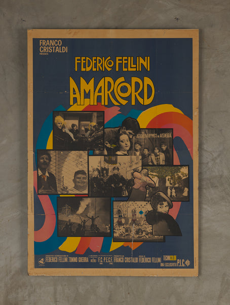 amarcord poster