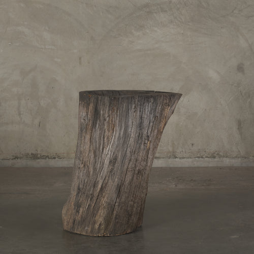 SCULPTURAL TREE STUMP CATCH-ALL