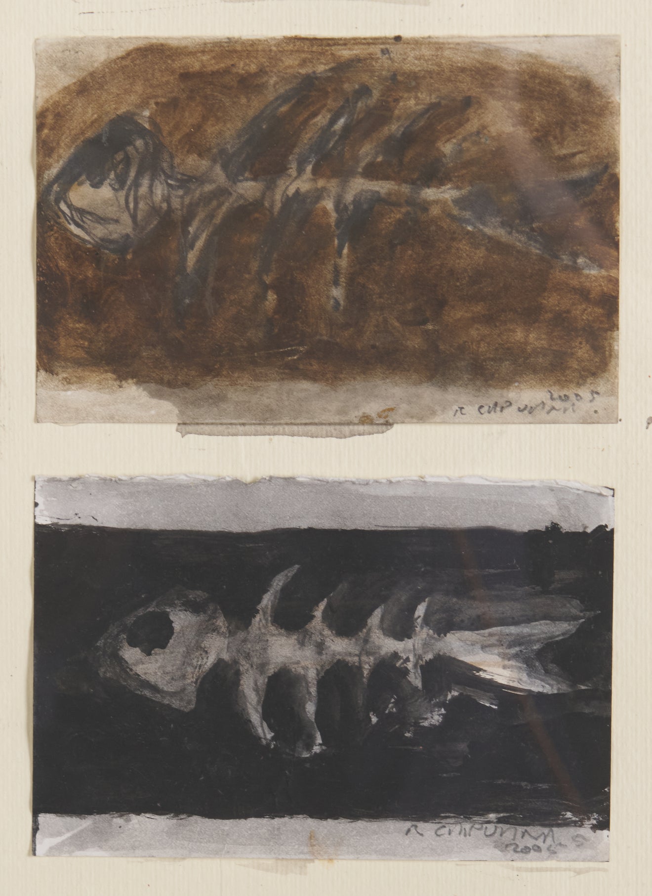 SIGNED COLLECTION OF FISH SKETCHES