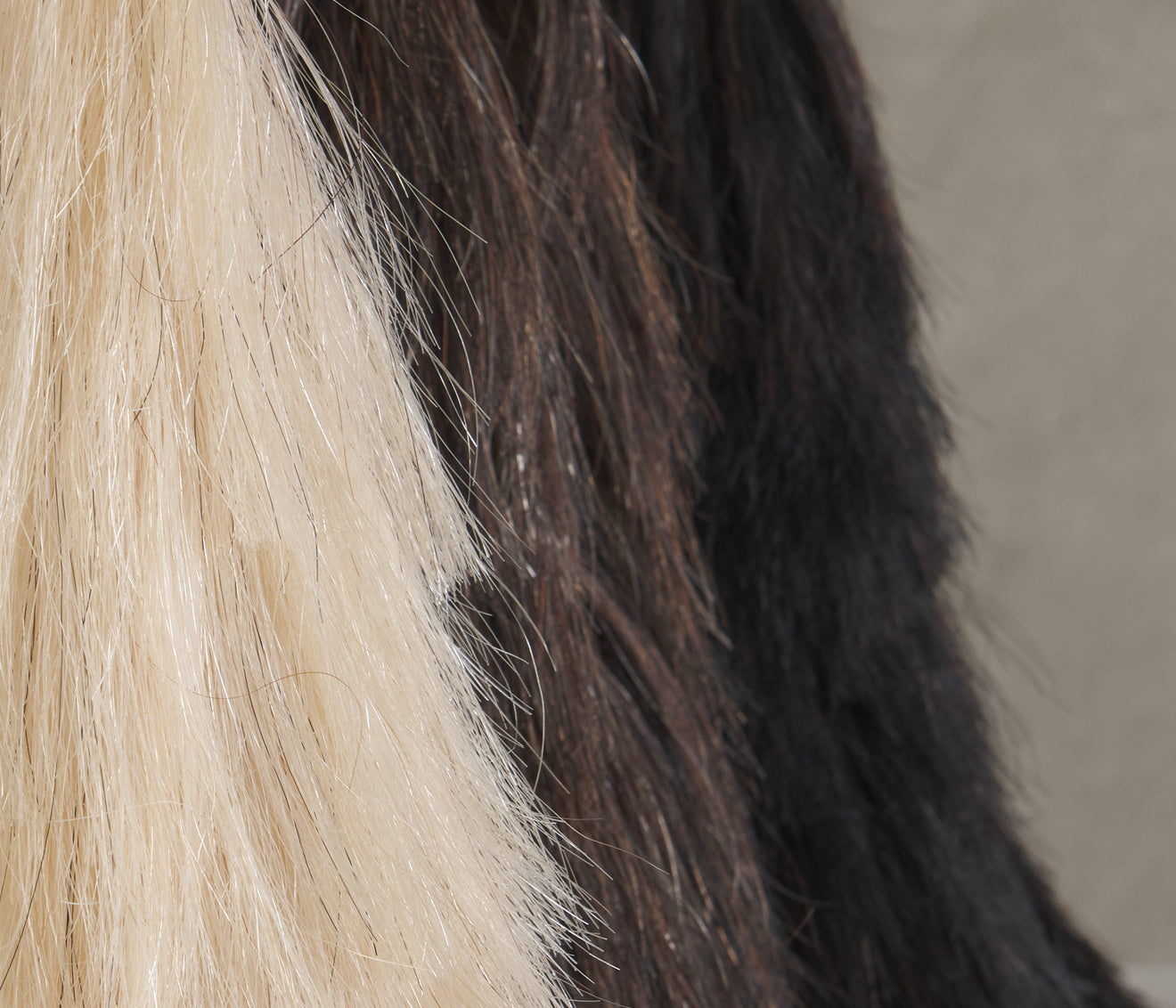 SMALL CIRIOS PENITENCIA BY ALDO ÁLVAREZ TOSTADO