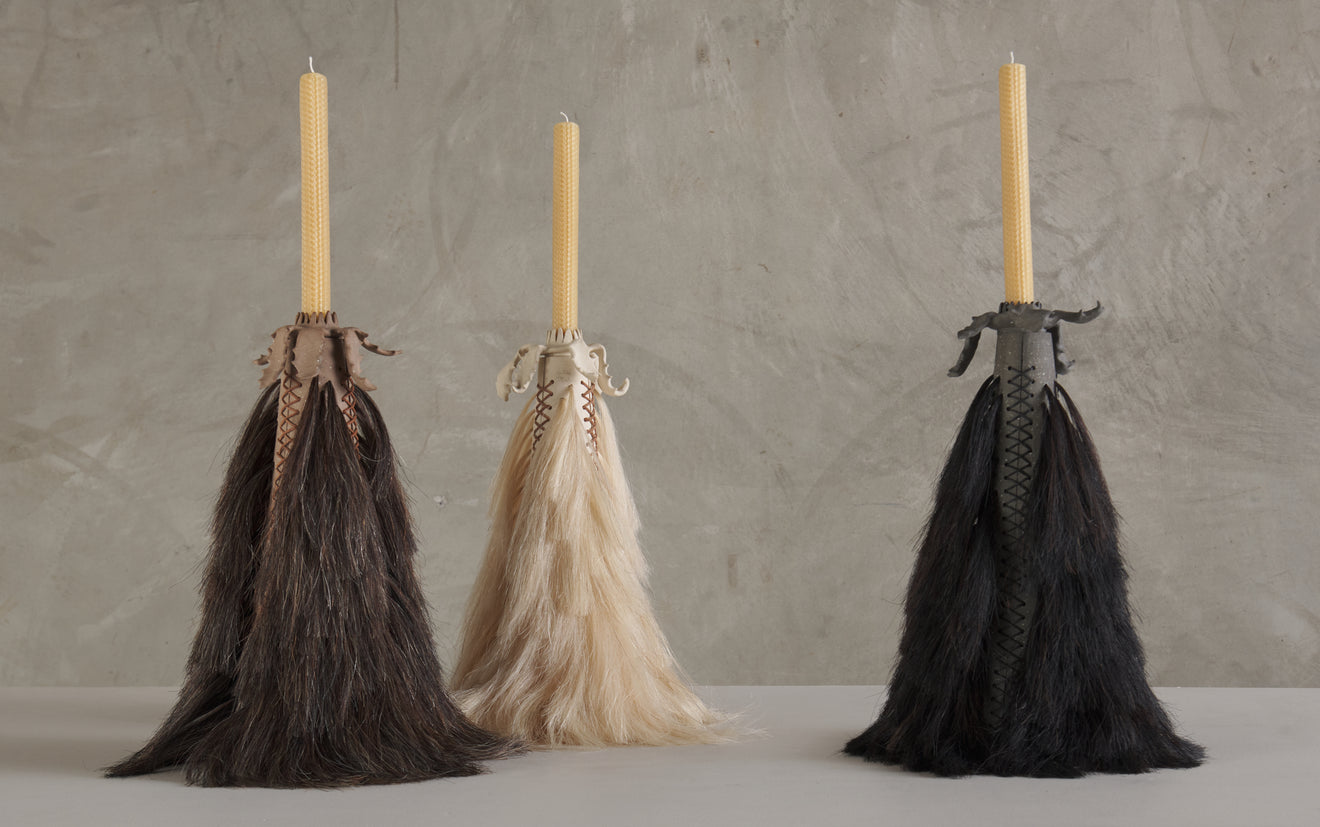 SMALL CIRIOS PENITENCIA BY ALDO ÁLVAREZ TOSTADO