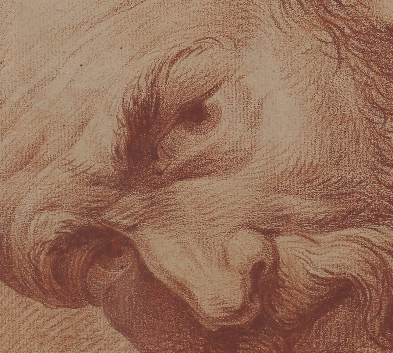 XVIII CENTURY SANGUINE PORTRAIT STUDY ON PAPER