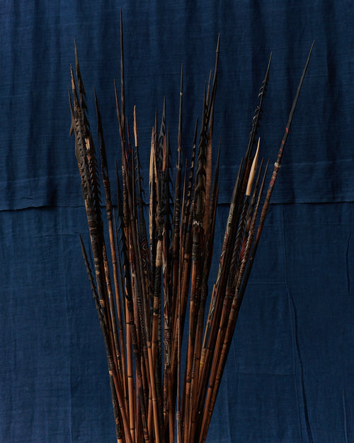 Collection of Papua New Guinea Spears